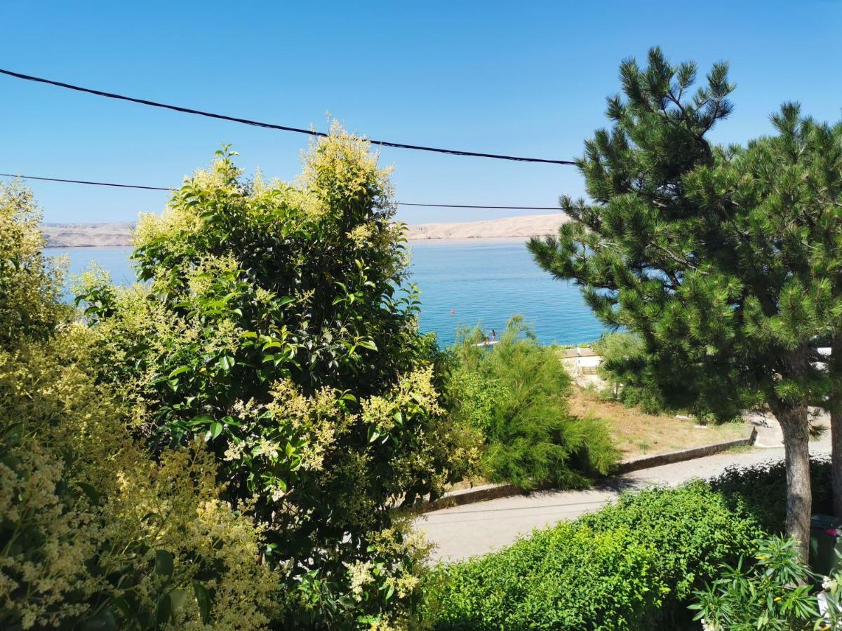 Beachfront House Ivana With Pool - Renovated 2025 Cesarica Exterior photo